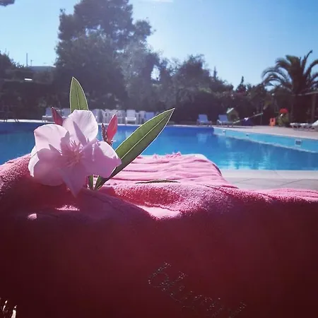 Hotel Club Bellavista 3*
